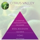<B>CITRUS VALLEY</B> SPRAY 250 ml odświeżacz powietrza PREMIUM
